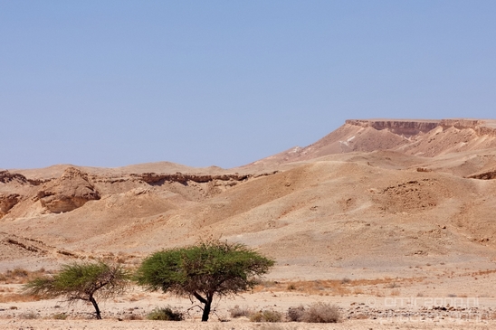 Landscape_Nature_Arava_and_Negev_desert_scenery_Israel_Photography_114_Canon_EOS_5D_Mark_IV.JPG