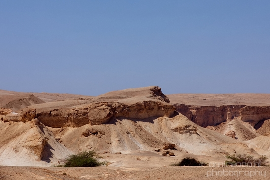 Landscape_Nature_Arava_and_Negev_desert_scenery_Israel_Photography_115_Canon_EOS_5D_Mark_IV.JPG