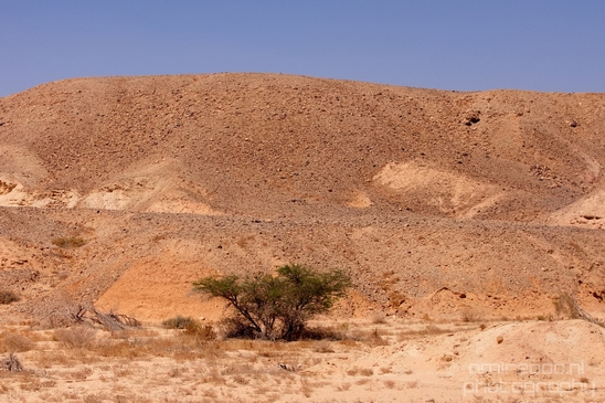 Landscape_Nature_Arava_and_Negev_desert_scenery_Israel_Photography_116_Canon_EOS_5D_Mark_IV.JPG