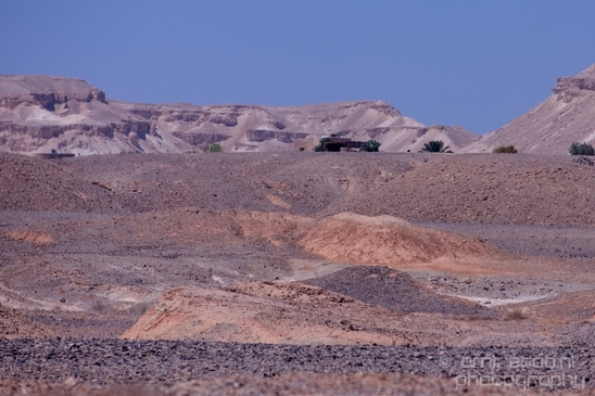 Landscape_Nature_Arava_and_Negev_desert_scenery_Israel_Photography_117_Canon_EOS_5D_Mark_IV.JPG