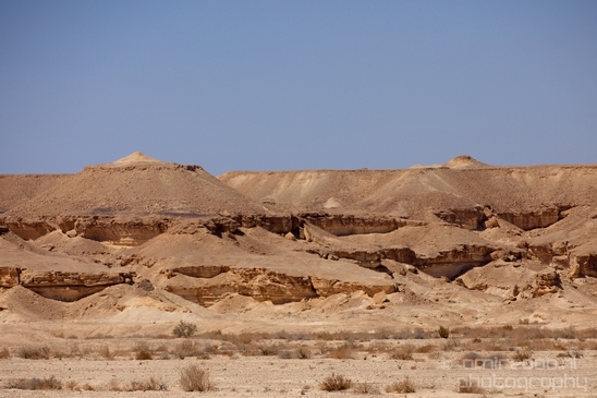 Landscape_Nature_Arava_and_Negev_desert_scenery_Israel_Photography_119_Canon_EOS_5D_Mark_IV.JPG