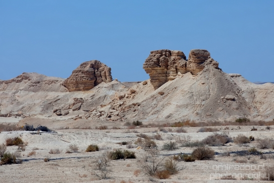 Landscape_Nature_Arava_and_Negev_desert_scenery_Israel_Photography_121_Canon_EOS_5D_Mark_IV.JPG