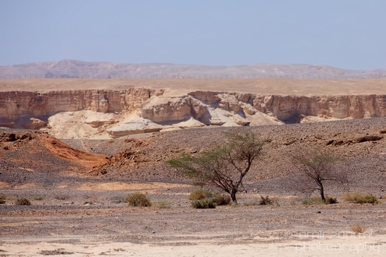 Landscape_Nature_Arava_and_Negev_desert_scenery_Israel_Photography_124_Canon_EOS_5D_Mark_IV.JPG
