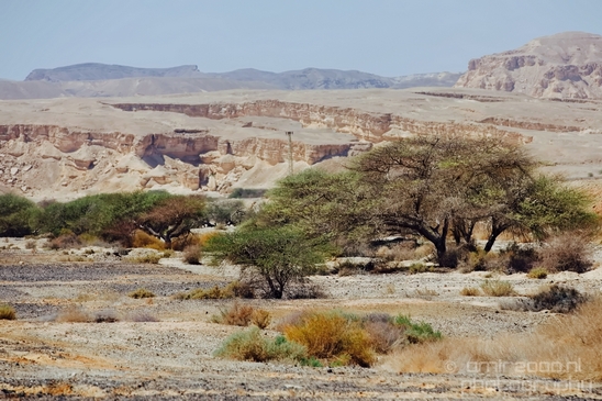 Landscape_Nature_Arava_and_Negev_desert_scenery_Israel_Photography_125_Canon_EOS_5D_Mark_IV.JPG