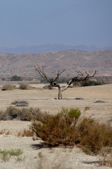 Landscape_Nature_Arava_and_Negev_desert_scenery_Israel_Photography_126_Canon_EOS_5D_Mark_IV.JPG