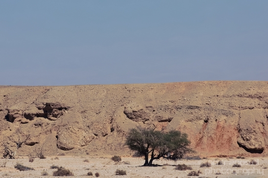 Landscape_Nature_Arava_and_Negev_desert_scenery_Israel_Photography_127_Canon_EOS_5D_Mark_IV.JPG