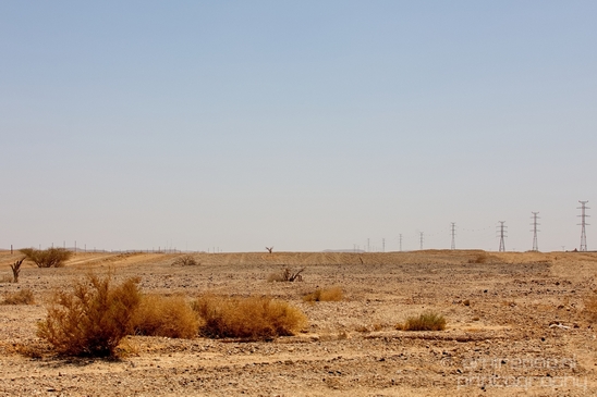 Landscape_Nature_Arava_and_Negev_desert_scenery_Israel_Photography_133_Canon_EOS_5D_Mark_IV.JPG