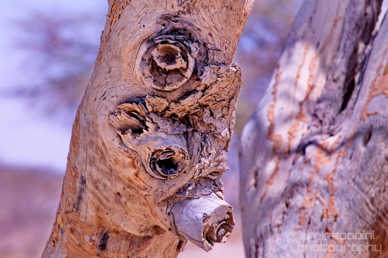 Landscape_Nature_Arava_and_Negev_desert_scenery_Israel_Photography_135_Canon_EOS_5D_Mark_IV.JPG