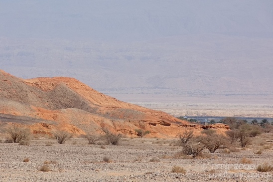 Landscape_Nature_Arava_and_Negev_desert_scenery_Israel_Photography_138_Canon_EOS_5D_Mark_IV.JPG
