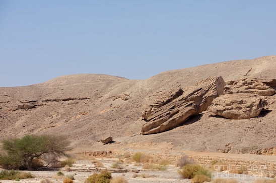 Landscape_Nature_Arava_and_Negev_desert_scenery_Israel_Photography_139_Canon_EOS_5D_Mark_IV.JPG