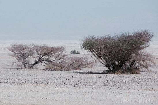 Landscape_Nature_Arava_and_Negev_desert_scenery_Israel_Photography_140_Canon_EOS_5D_Mark_IV.JPG