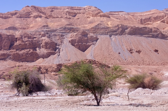 Landscape_Nature_Arava_and_Negev_desert_scenery_Israel_Photography_147_Canon_EOS_5D_Mark_IV.JPG