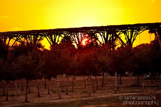 Landscape_Nature_Ariel_Sharon_Park_Tel_Israel_Photography_003_Canon_EOS_5D_Mark_IV.JPG