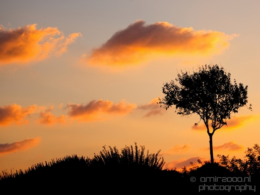 Landscape_Nature_Ariel_Sharon_Park_Tel_Israel_Photography_004_Canon_EOS_5D_Mark_IV.JPG
