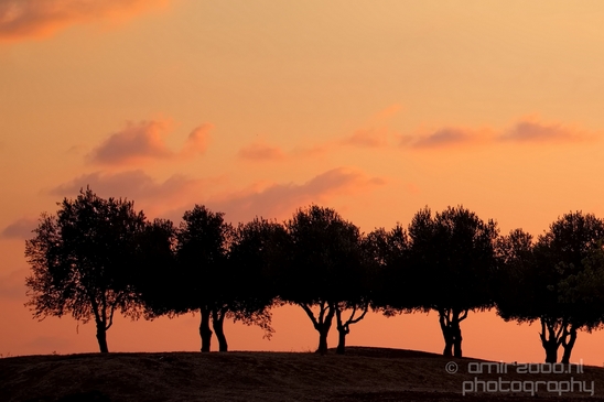 Landscape_Nature_Ariel_Sharon_Park_Tel_Israel_Photography_005_Canon_EOS_5D_Mark_IV.JPG
