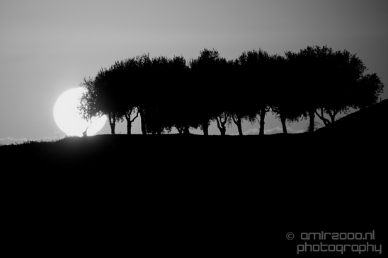 Landscape_Nature_Ariel_Sharon_Park_Tel_Israel_Photography_006_Canon_EOS_5D_Mark_IV.JPG