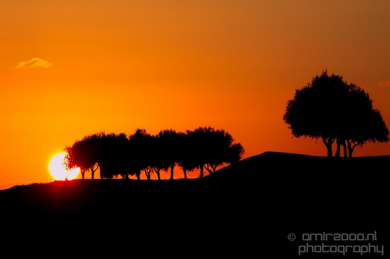 Landscape_Nature_Ariel_Sharon_Park_Tel_Israel_Photography_007_Canon_EOS_5D_Mark_IV.JPG
