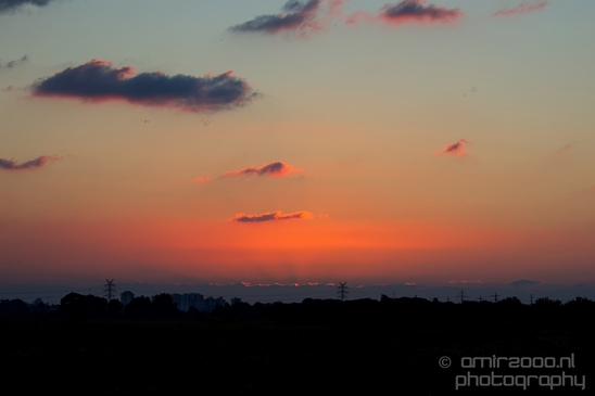 Landscape_Nature_Ariel_Sharon_Park_Tel_Israel_Photography_008_Canon_EOS_5D_Mark_IV.JPG
