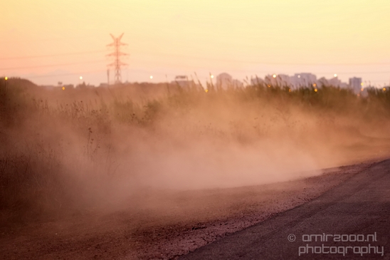 Landscape_Nature_Ariel_Sharon_Park_Tel_Israel_Photography_009_Canon_EOS_5D_Mark_IV.JPG
