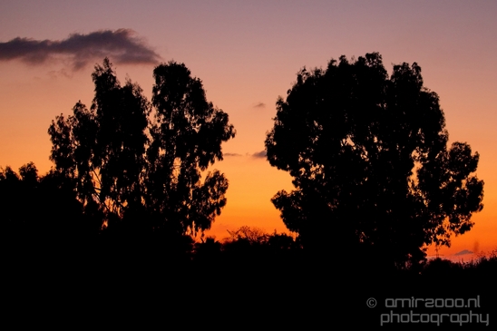 Landscape_Nature_Ariel_Sharon_Park_Tel_Israel_Photography_011_Canon_EOS_5D_Mark_IV.JPG