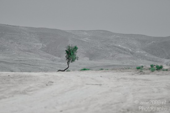 Landscape_Nature_Dead_Sea_Israel_Desert_Photography_001_Canon_EOS_7D.JPG