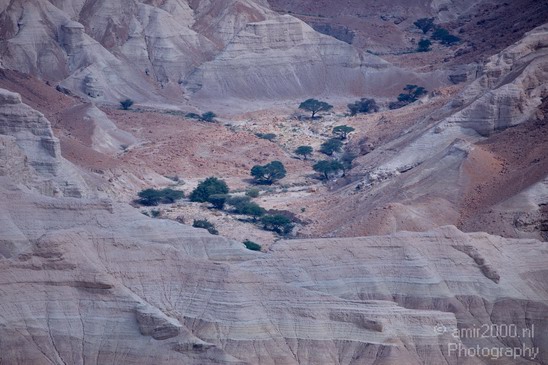 Landscape_Nature_Dead_Sea_Israel_Desert_Photography_003_Canon_EOS_5D_Mark_IV.JPG