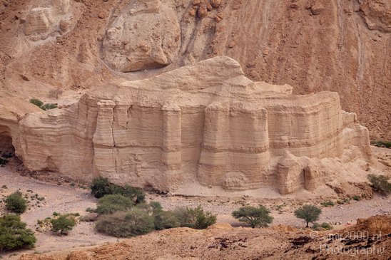 Landscape_Nature_Dead_Sea_Israel_Desert_Photography_004_Canon_EOS_5D_Mark_IV.JPG