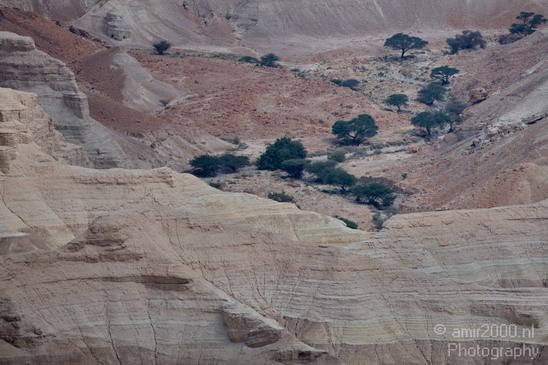 Landscape_Nature_Dead_Sea_Israel_Desert_Photography_009_Canon_EOS_5D_Mark_IV.JPG