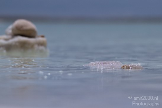 Landscape_Nature_Dead_Sea_Israel_Desert_Photography_013_Canon_EOS_7D.JPG