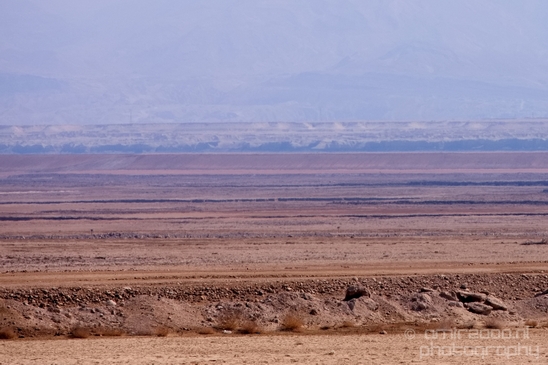 Landscape_Nature_Dead_Sea_Israel_Desert_Photography_016_Canon_EOS_5D_Mark_IV.JPG