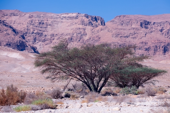 Landscape_Nature_Dead_Sea_Israel_Desert_Photography_019_Canon_EOS_5D_Mark_IV.JPG