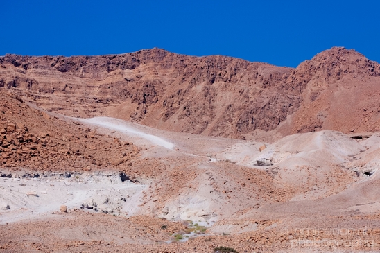 Landscape_Nature_Dead_Sea_Israel_Desert_Photography_020_Canon_EOS_5D_Mark_IV.JPG