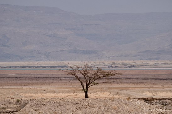 Landscape_Nature_Dead_Sea_Israel_Desert_Photography_022_Canon_EOS_7D.JPG