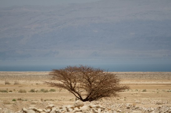 Landscape_Nature_Dead_Sea_Israel_Desert_Photography_023_Canon_EOS_7D.JPG