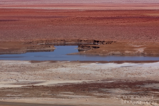 Landscape_Nature_Dead_Sea_Israel_Desert_Photography_053_Canon_EOS_5D_Mark_IV.JPG