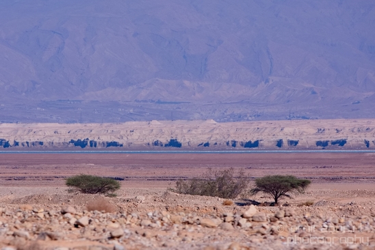 Landscape_Nature_Dead_Sea_Israel_Desert_Photography_060_Canon_EOS_5D_Mark_IV.JPG