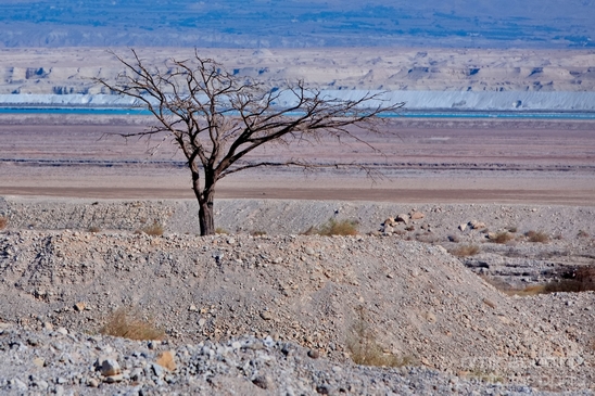 Landscape_Nature_Dead_Sea_Israel_Desert_Photography_061_Canon_EOS_5D_Mark_IV.JPG