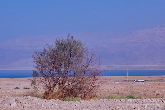 Landscape_Nature_Dead_Sea_Israel_Desert_Photography_063_Canon_EOS_5D_Mark_IV.JPG