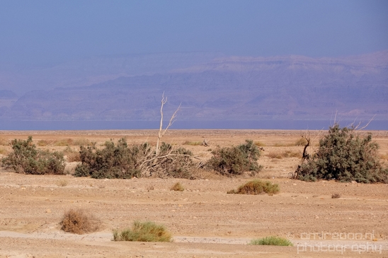Landscape_Nature_Dead_Sea_Israel_Desert_Photography_064_Canon_EOS_5D_Mark_IV.JPG