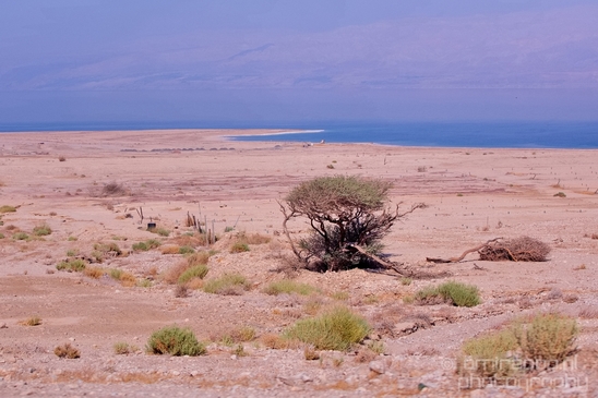 Landscape_Nature_Dead_Sea_Israel_Desert_Photography_068_Canon_EOS_5D_Mark_IV.JPG