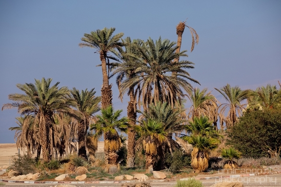 Landscape_Nature_Dead_Sea_Israel_Desert_Photography_069_Canon_EOS_5D_Mark_IV.JPG