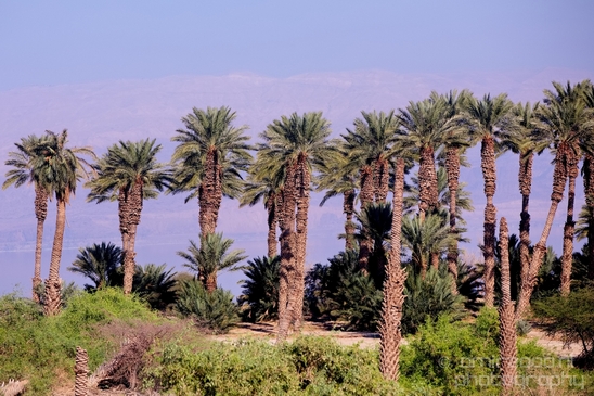 Landscape_Nature_Dead_Sea_Israel_Desert_Photography_075_Canon_EOS_5D_Mark_IV.JPG