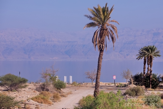 Landscape_Nature_Dead_Sea_Israel_Desert_Photography_077_Canon_EOS_5D_Mark_IV.JPG