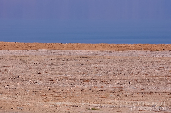 Landscape_Nature_Dead_Sea_Israel_Desert_Photography_096_Canon_EOS_5D_Mark_IV.JPG