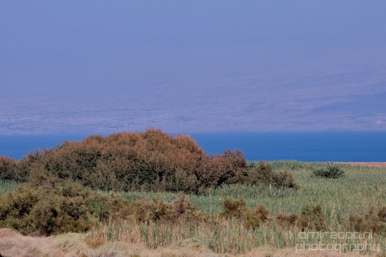 Landscape_Nature_Dead_Sea_Israel_Desert_Photography_103_Canon_EOS_5D_Mark_IV.JPG