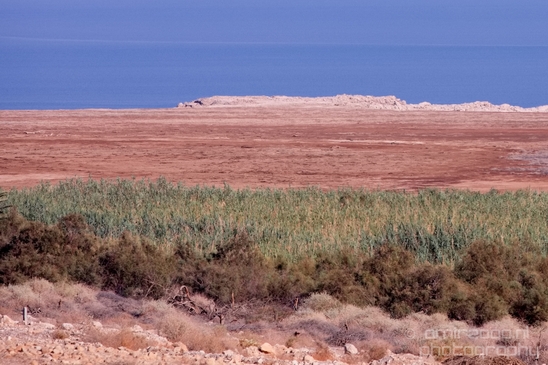Landscape_Nature_Dead_Sea_Israel_Desert_Photography_105_Canon_EOS_5D_Mark_IV.JPG