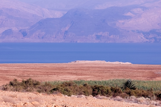 Landscape_Nature_Dead_Sea_Israel_Desert_Photography_106_Canon_EOS_5D_Mark_IV.JPG