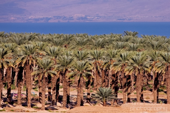 Landscape_Nature_Dead_Sea_Israel_Desert_Photography_109_Canon_EOS_5D_Mark_IV.JPG
