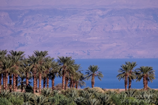 Landscape_Nature_Dead_Sea_Israel_Desert_Photography_113_Canon_EOS_5D_Mark_IV.JPG