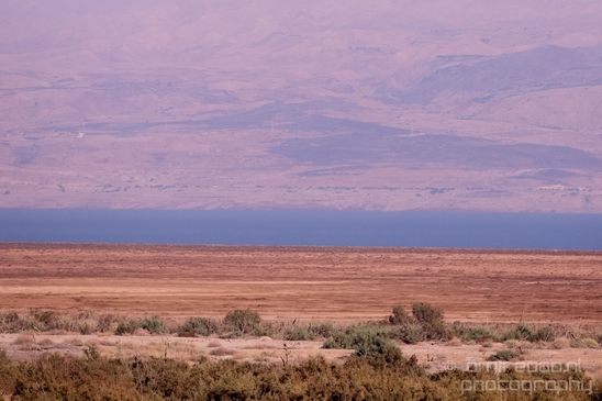 Landscape_Nature_Dead_Sea_Israel_Desert_Photography_117_Canon_EOS_5D_Mark_IV.JPG